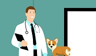 veterinar.jpg