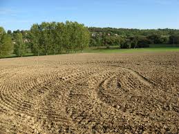 ground.jpeg