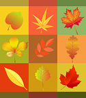 autumn-1646457_960_720.png