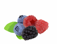 berries.png