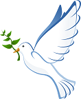 dove-41260_960_720.png