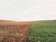 farmland-801817_960_720.jpg