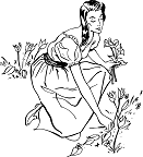 flower-2911261_960_720.png