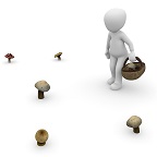 mushrooms-1015460_960_720.jpg