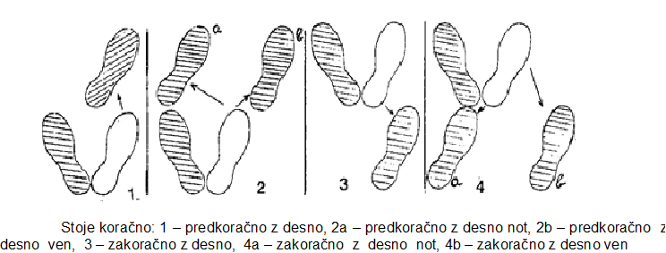 prečne stoje koračno.bmp