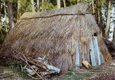 choupana.jpg