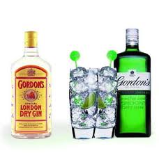 ginebra_brinjevec_gin.jpg