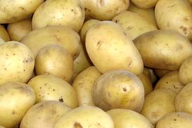 batata_krompir.jpg