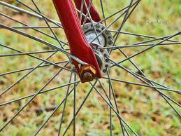 raio_da_bicicleta naperek_kolesa.jpg