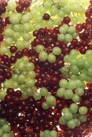 uvas.jpg